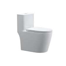 CNS-WHT-863S300UFNPL 1.jpeg